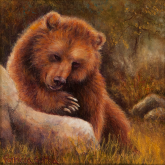 Ursus Arctos